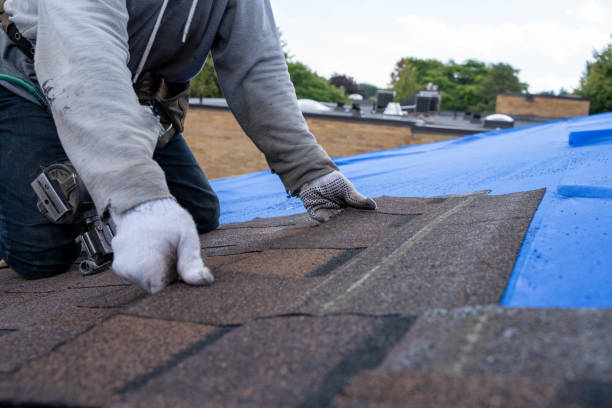 Best Storm Damage Roof Repair  in Cornell, WI