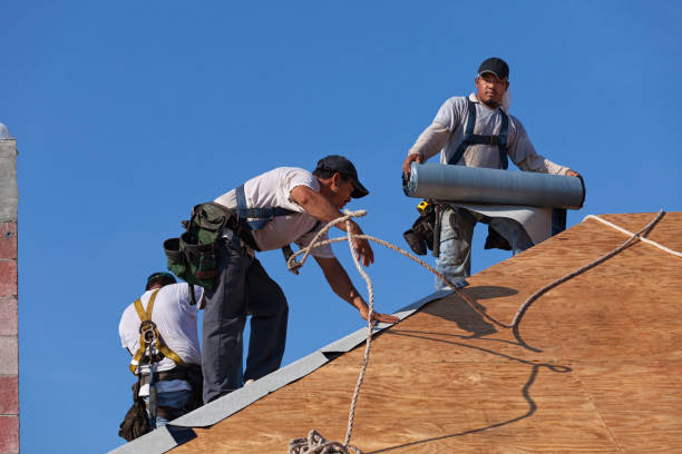 Roof Waterproofing Services in Cornell, WI